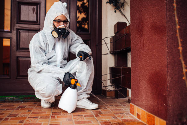 Reliable Wasp Removal contractor in Sangaree, SC by Show Me Pest Control